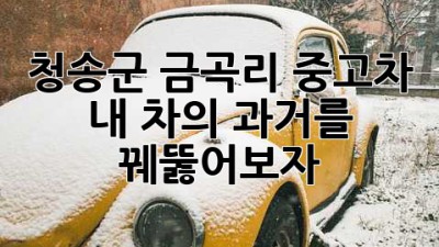 청송군 금곡리 중고차, 🚗 내 차의 과거를 꿰뚫어보자! ✨