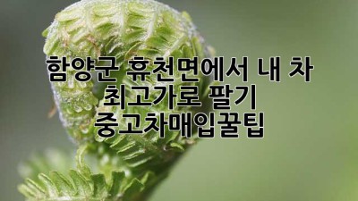 🚗 함양군 휴천면에서 내 차 최고가로 팔기! #중고차매입꿀팁 💯