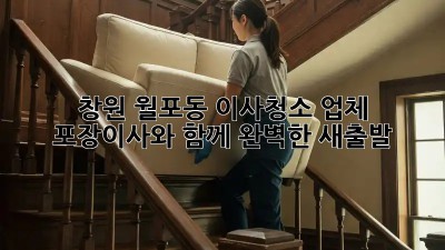 창원 월포동 이사청소 업체: 포장이사와 함께 완벽한 새출발!